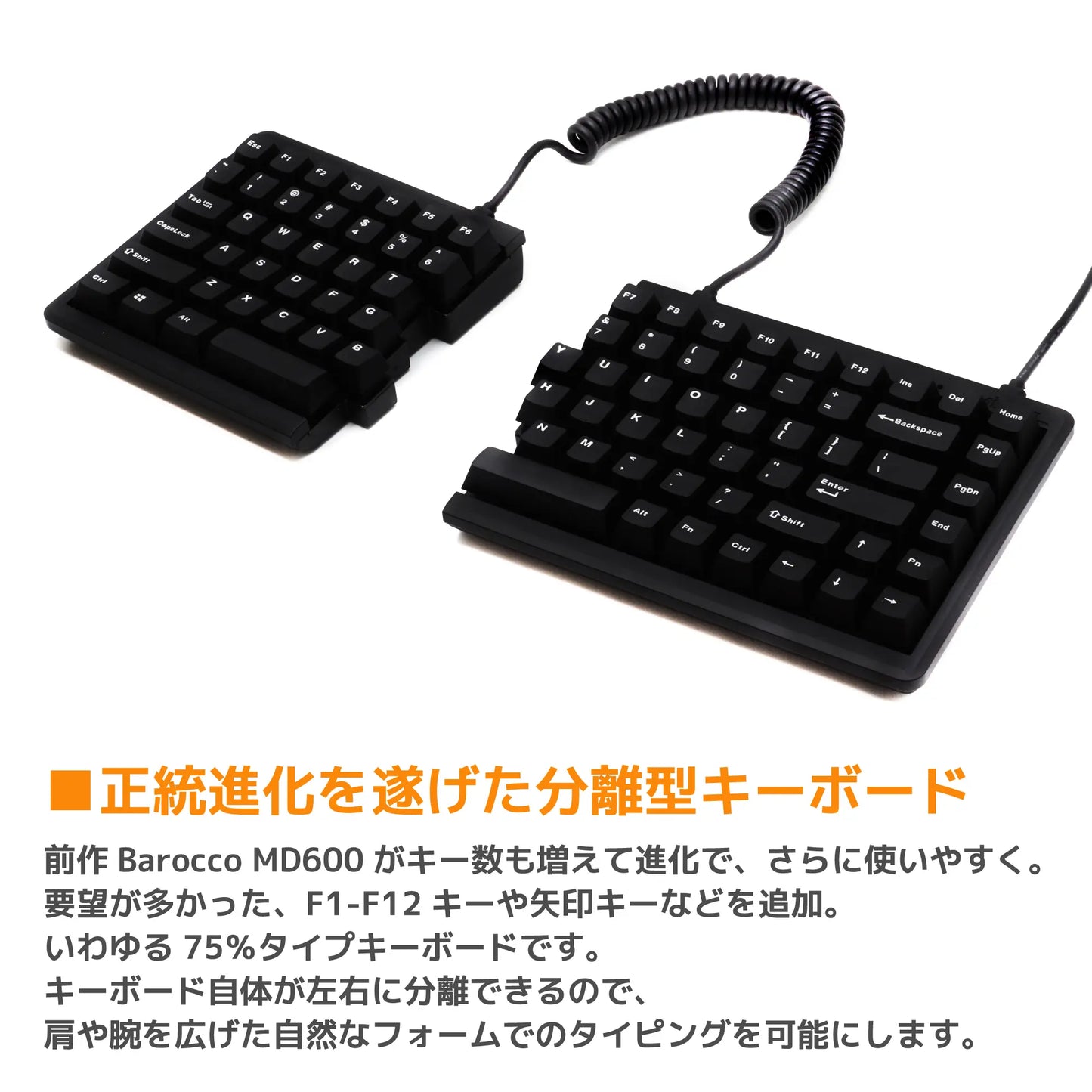 Mistel キーボード BAROCCO MD770 RGB - 英語配列｜キーボード専門店